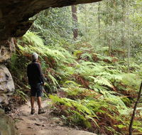 Dharug National Park - Accommodation Batemans Bay