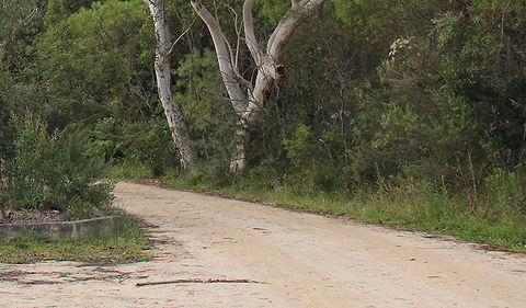 Riverview Walking Track - Accommodation Batemans Bay 0