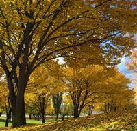 Centennial Park at Cooma - Accommodation Batemans Bay