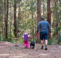 Olney State Forest - Watagan Mountains - Accommodation Batemans Bay
