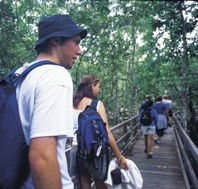 Bellthorpe National Park - Accommodation Batemans Bay