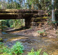 Myrtle Scrub scenic drive - Accommodation Batemans Bay