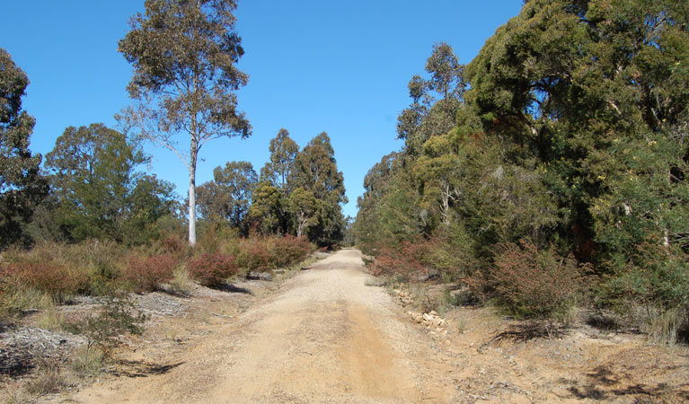 Elrington NSW Accommodation Batemans Bay