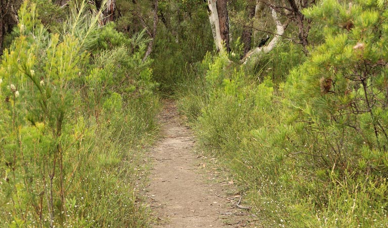 Moollattoo NSW Accommodation Batemans Bay