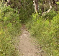 Three Views walking track - Accommodation Batemans Bay