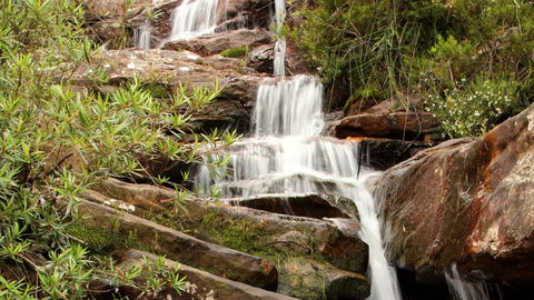 Popran National Park - Accommodation Batemans Bay 1