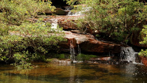 Popran National Park - Accommodation Batemans Bay 2