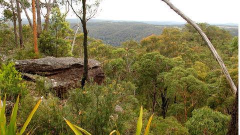 Popran National Park - Accommodation Batemans Bay 3