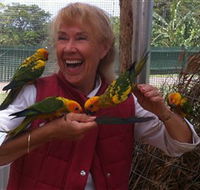 Maleny Botanic Gardens  Bird World - Accommodation Batemans Bay