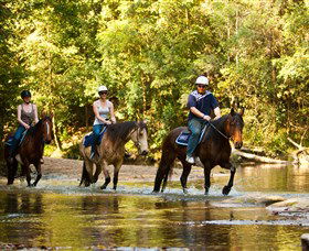 Glenworth Valley Outdoor Adventures - Accommodation Batemans Bay 2