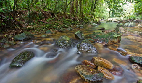 Toonumbar National Park - Accommodation Batemans Bay 1