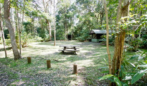 Toonumbar National Park - Accommodation Batemans Bay 3