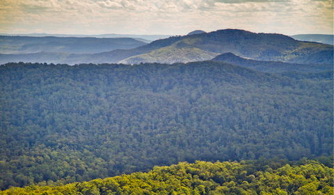 Murray Scrub Lookout - Accommodation Batemans Bay 1