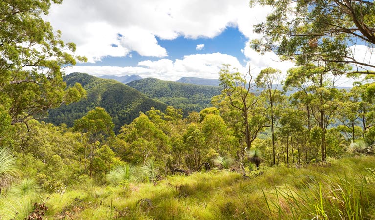 Roseberry Creek ACT Accommodation Batemans Bay