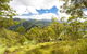 Sherwood Lookout - thumb 0