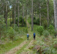 The Green Gully track - Accommodation Batemans Bay