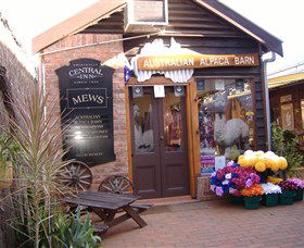 Australian Alpaca Barn - Morpeth - Accommodation Batemans Bay 0