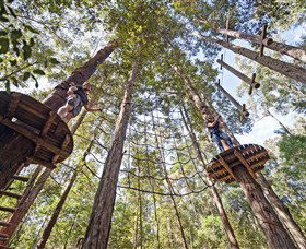 TreeTop Adventure Park Central Coast - Accommodation Batemans Bay 0
