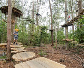 TreeTop Adventure Park Central Coast - Accommodation Batemans Bay 1