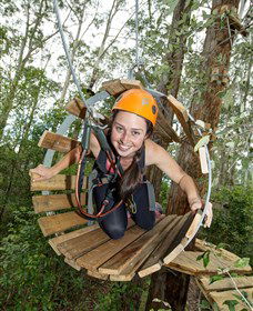 TreeTop Adventure Park Central Coast - Accommodation Batemans Bay 3
