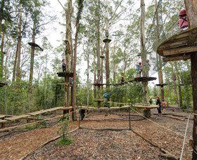 TreeTop Adventure Park Central Coast - Accommodation Batemans Bay 5