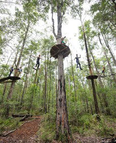 TreeTop Adventure Park Central Coast - Accommodation Batemans Bay 4