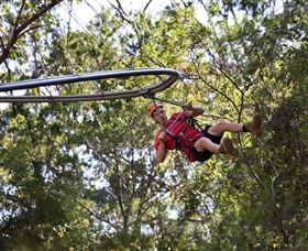 TreeTops Crazy Rider - Accommodation Batemans Bay 1