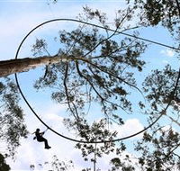 TreeTops Crazy Rider - Accommodation Batemans Bay