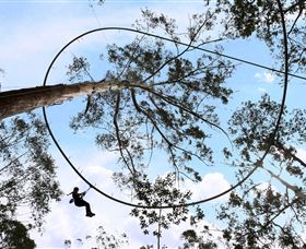 TreeTops Crazy Rider - Accommodation Batemans Bay 0