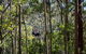 TreeTops Crazy Rider - thumb 3