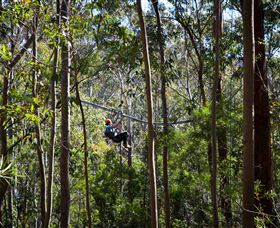 TreeTops Crazy Rider - Accommodation Batemans Bay 3