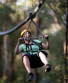 TreeTops Crazy Rider - Accommodation Batemans Bay 2