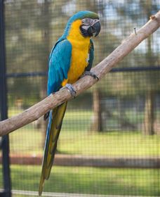 Amazement Farm And Fun Park / Cafe And Farmstay Accommodation - Accommodation Batemans Bay 8