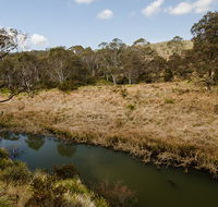 Werrikimbe National Park - Accommodation Batemans Bay