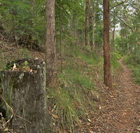 Border loop walk - Accommodation Batemans Bay