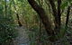 Wyrrabalong National Park - thumb 2