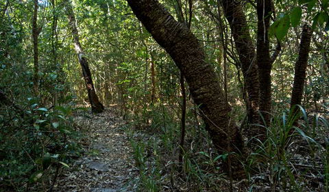 Wyrrabalong National Park - Accommodation Batemans Bay 2