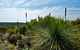 Munmorah State Conservation Area - thumb 1