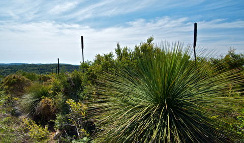 Munmorah State Conservation Area - Accommodation Batemans Bay 1
