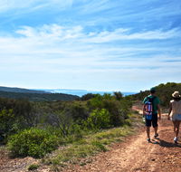 Moonee Beach trail - Accommodation Batemans Bay