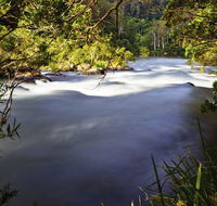 Nymboi-Binderay National Park - Accommodation Batemans Bay