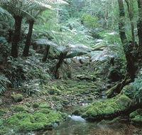 The Corn Trail Walk - Accommodation Batemans Bay