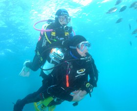 Shellharbour Scuba & Photography Centre - Accommodation Batemans Bay 1
