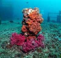 HMAS Brisbane Dive Site - Accommodation Batemans Bay