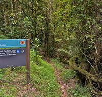 Red Cedar loop - Accommodation Batemans Bay