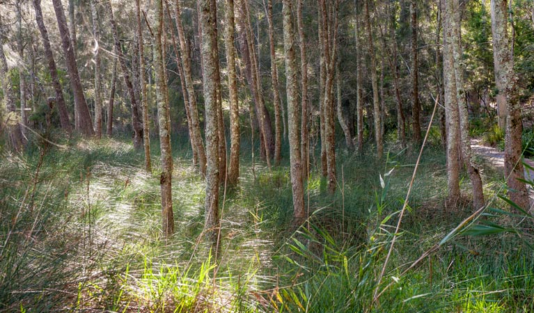 Boolijah NSW Accommodation Batemans Bay