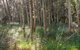 Anabranch Loop Track - thumb 0