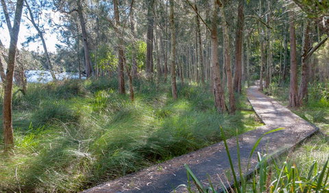 Anabranch Loop Track - Accommodation Batemans Bay 3