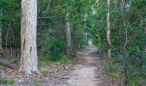 Delta Track - Accommodation Batemans Bay 0