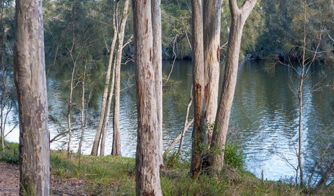 Delta Track - Accommodation Batemans Bay 2